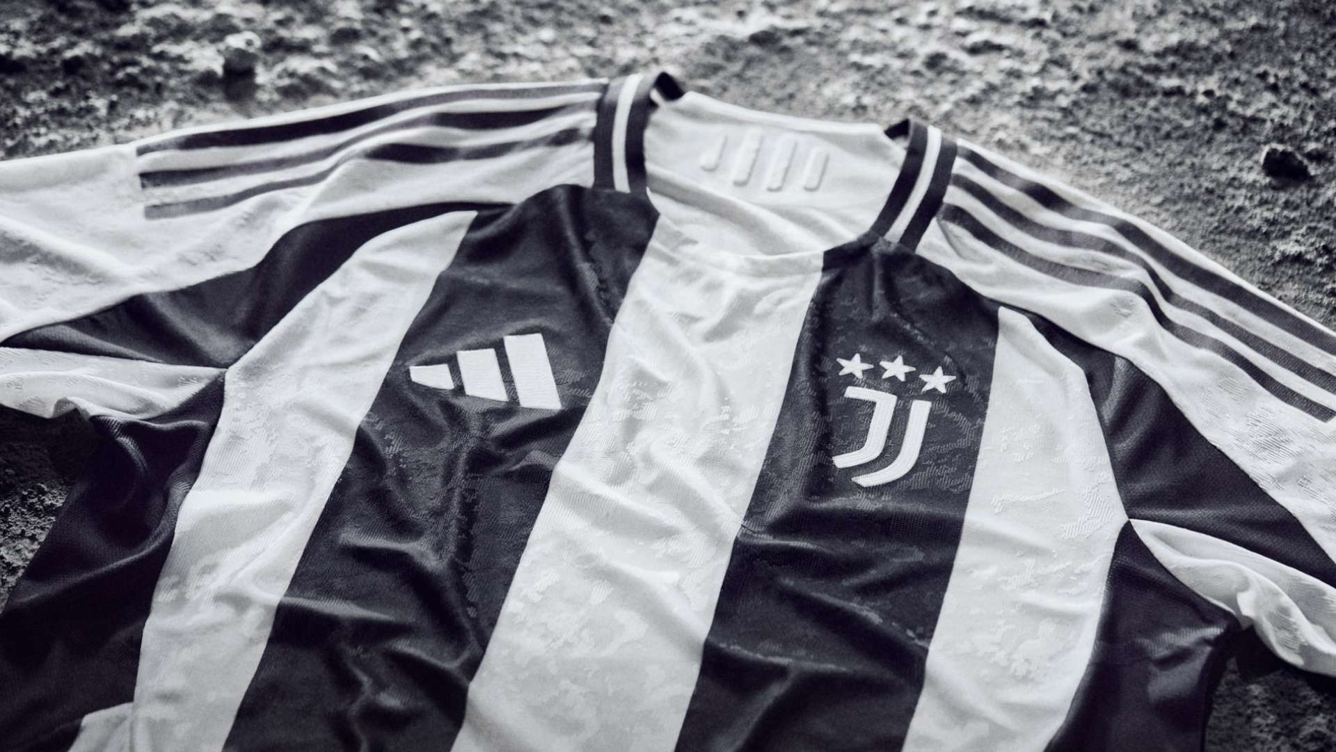 贡献力量 贡献力量